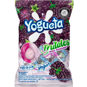Yogueta frutales mora yogurt x24